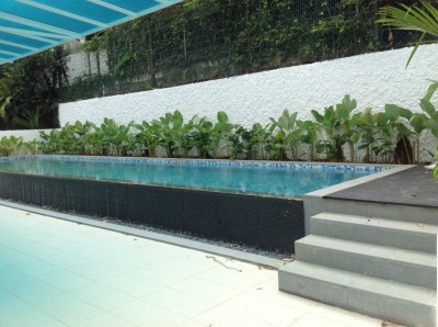 Barker Road Bungalow - Infinity Pool